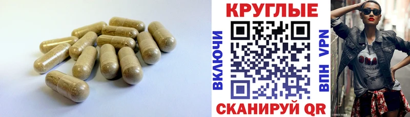 Ecstasy TESLA  Кяхта 