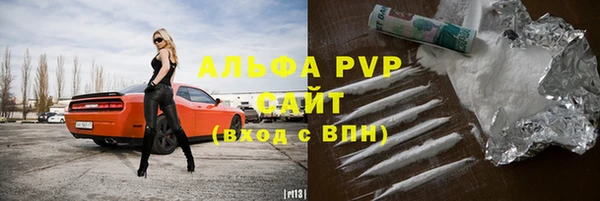 прущие грибы Абаза
