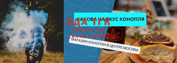 прущие грибы Абаза