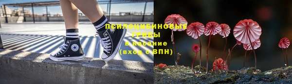 дживик Абинск