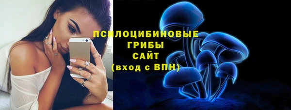 дживик Абинск