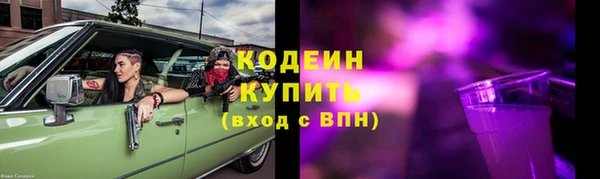 прущие грибы Абаза
