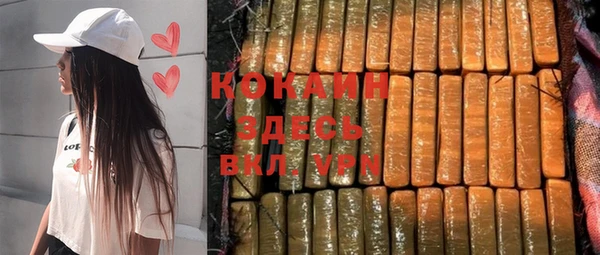 прущие грибы Абаза