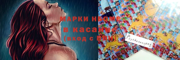 хмурый Алзамай