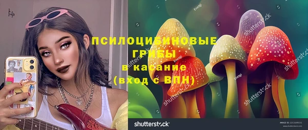 прущие грибы Абаза
