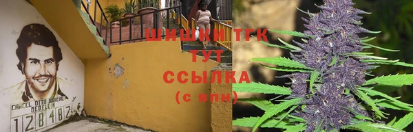 хмурый Алзамай