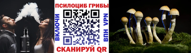 даркнет сайт  Кяхта  Галлюциногенные грибы мухоморы 
